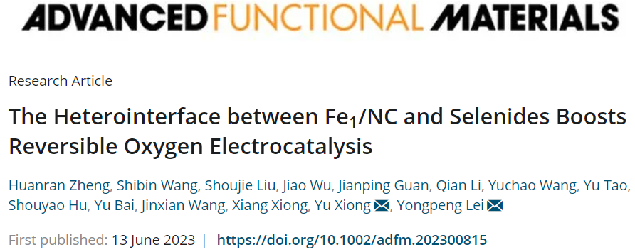 雷永鵬/熊禹AFM：異質(zhì)界面復(fù)合催化劑，助力鋅-空氣電池