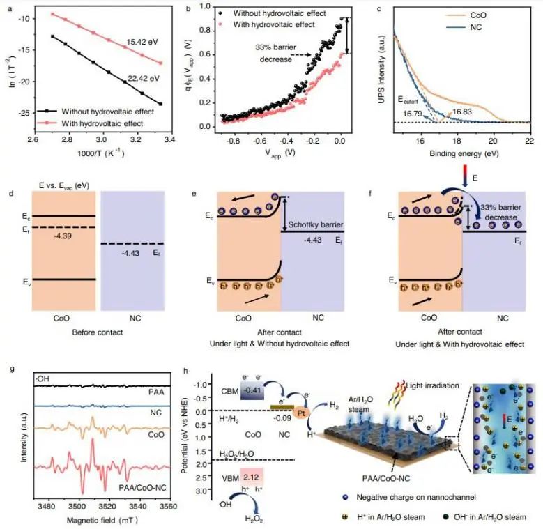 催化頂刊集錦：Nature子刊、JACS、AFM、ACS Catalysis、Nano Energy等