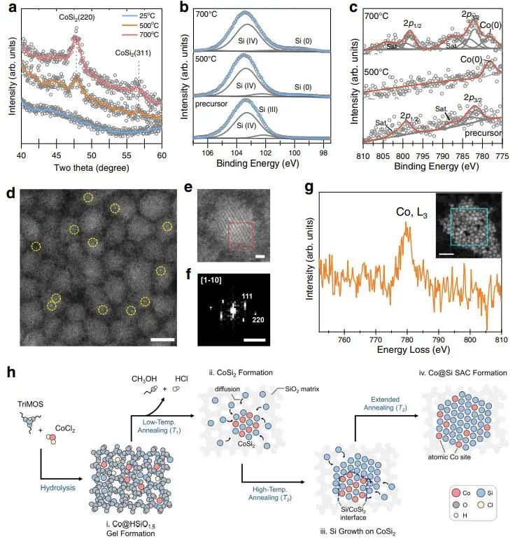 催化頂刊集錦：Nature子刊、AM、AEM、Nano Energy、Nano Letters、Small等