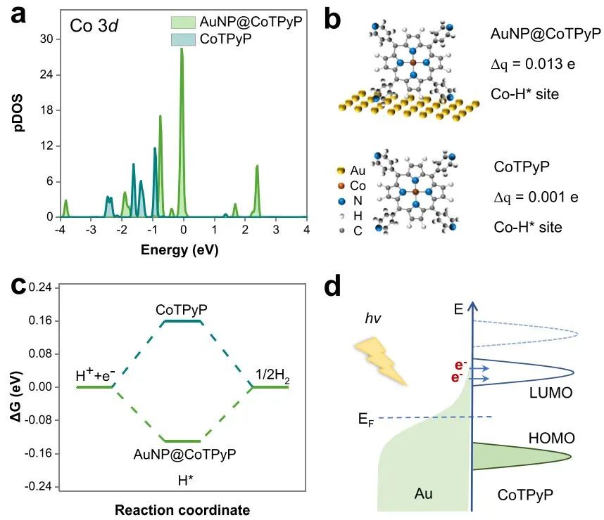 8篇頂刊速遞：Nature子刊、JACS、Angew、AM、AEM、AFM等計算+實驗成果