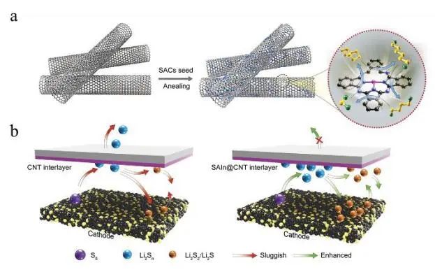 計算文獻速遞：Nature Catalysis、EES、JACS、Chem、EnSM、Nat. Commun.等！