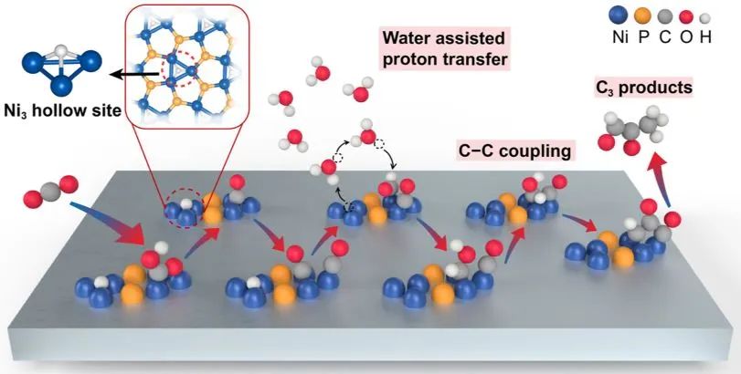 ?北大ACS Catalysis：Ni2P催化劑的多中心協同作用用于增強電化學CO2還原中的C-C偶聯