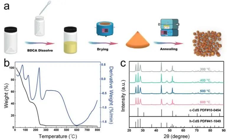 催化頂刊集錦：Nature、JACS、EES、ACS Catal.、ACS Nano、Small等成果精選！
