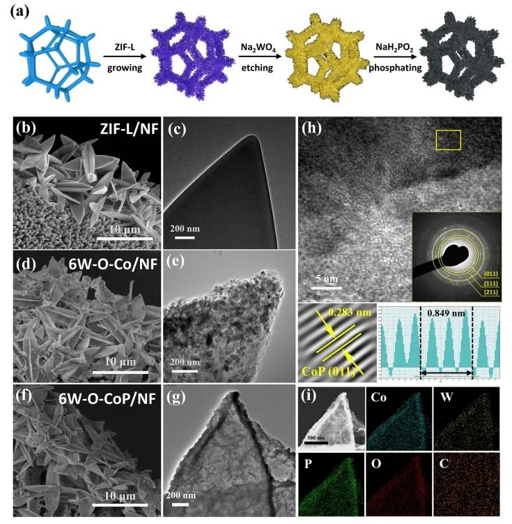 催化頂刊速遞：Nature Catalysis、EES、Nature子刊、Angew、Sci. Adv.、ACS Nano等成果