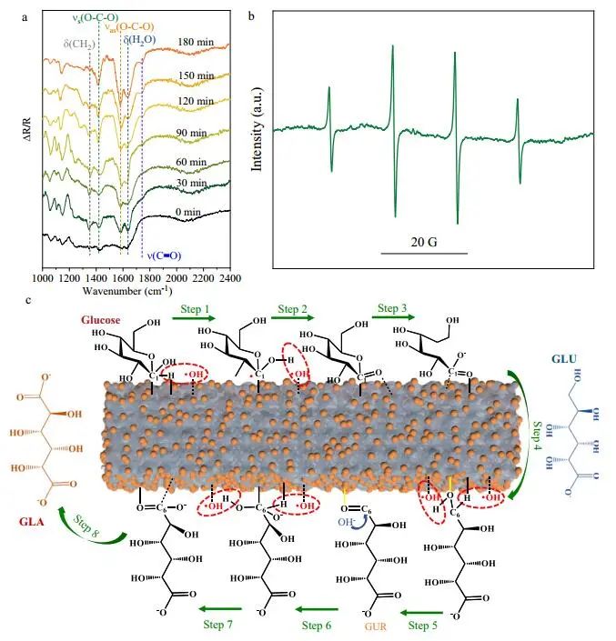 Nature子刊：Pt/Def-TiO2光電化學氧化葡萄糖制備葡萄糖酸