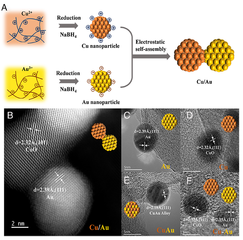 CO2還原新進(jìn)展！天津大學(xué)PNAS：Cu/Au異質(zhì)結(jié)，電催化CO2還原產(chǎn)乙醇！