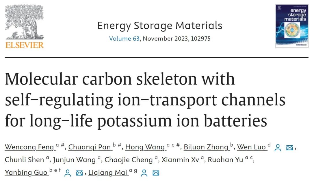?麥立強/郭彥炳EnSM：具有自調節離子傳輸通道的分子碳骨架用于長壽命鉀離子電池