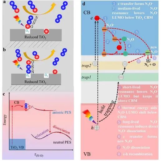 ?北師大JACS：非絕熱分子動力學揭示半導體表面N2O的光解與光熱分解