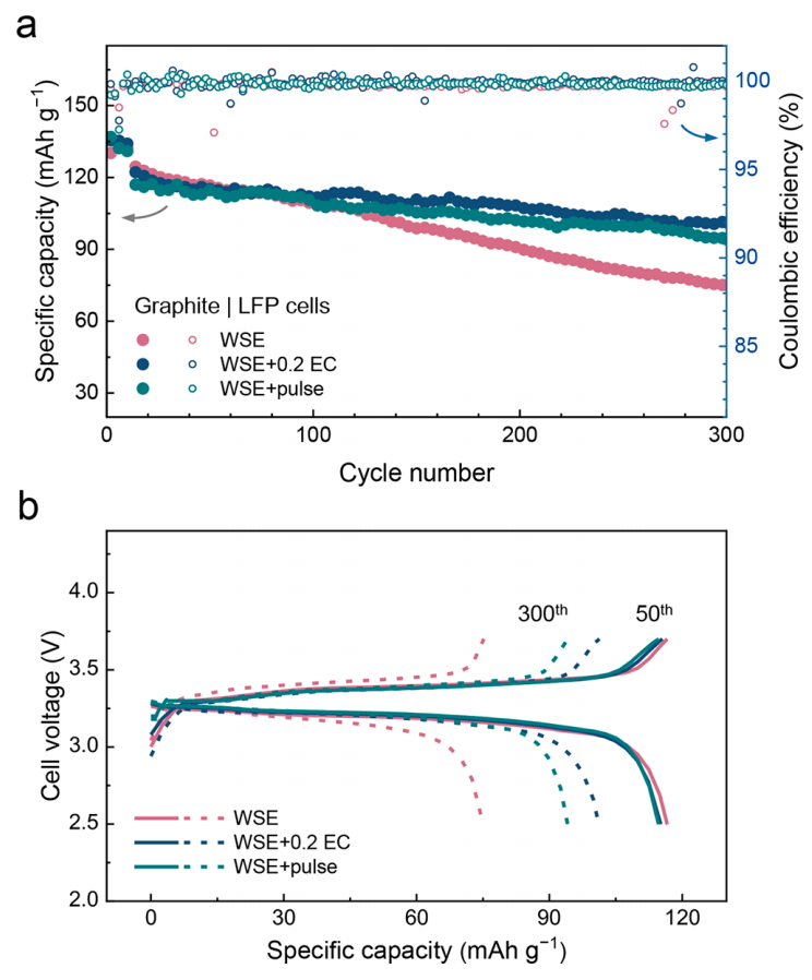 張強教授，最新JACS！