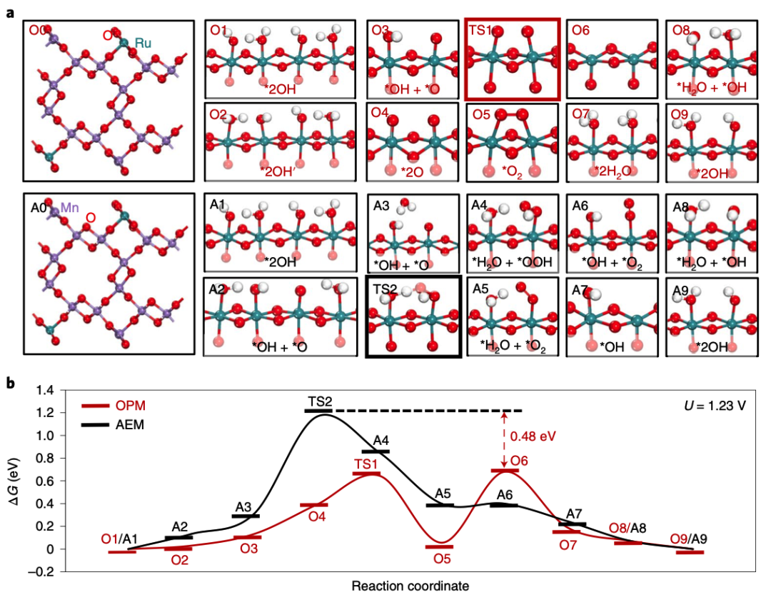 李小鵬/劉智攀/姜政等Nature Catalysis：酸性電解水催化劑突破！