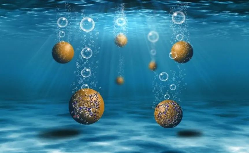 JACS：創(chuàng)紀(jì)錄！碳納米點(diǎn)一體化光催化制氫