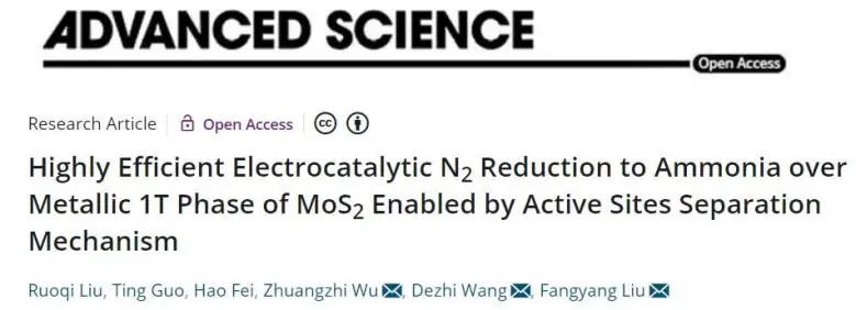 中南劉芳洋、王德志、吳壯志Adv. Sci.：角度新奇，活性位點分離策略闡明1T-MoS2上NRR機制