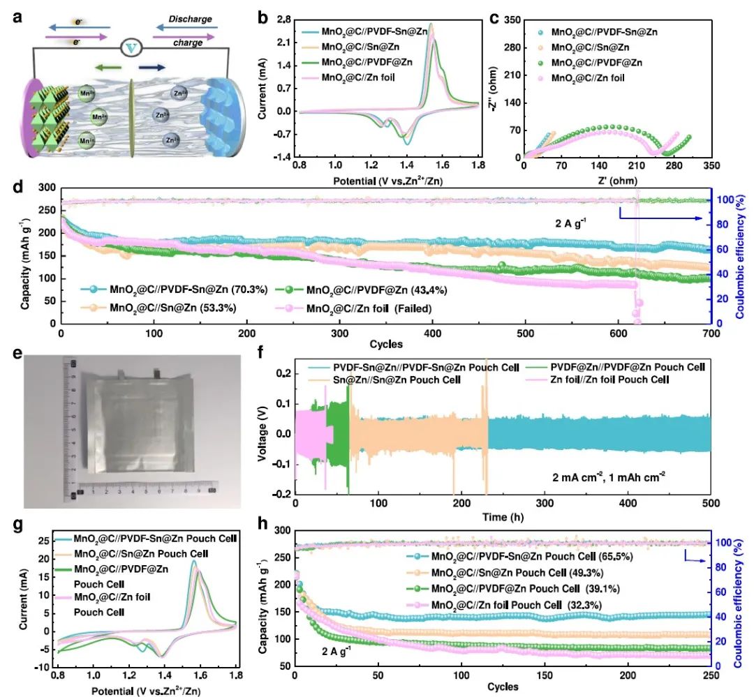 電池頂刊集錦：Nature子刊、Angew、EES、AFM、ACS Energy Lett.、ACS Nano等成果！
