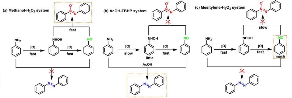 蘭大馬建泰Angew.：Zr(OH)4催化苯胺可控選擇性氧化生成偶氮苯、偶氮苯和亞硝基苯