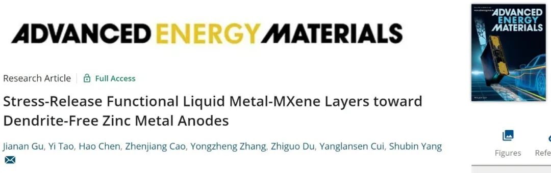 北航楊樹斌AEM：液態金屬協同MXene實現無枝晶鋅金屬負極
