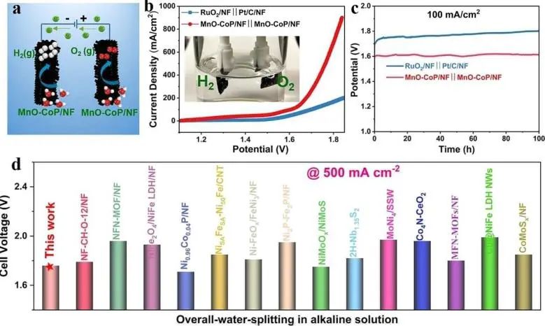 催化頂刊集錦：Angew、JACS、Nature子刊、AFM、ACS Catal.、Adv. Sci.等成果