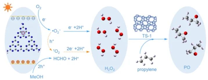 ?吳文婷/吳明鉑ACS Catal.：一舉兩得！含N3C空位的g-C3N4串聯(lián)光催化H2O2和催化C3H6環(huán)氧化
