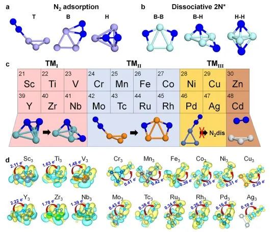 駱智訓ACS Catalysis：利用理論計算系統研究三原子金屬簇對N2的吸附和解離行為