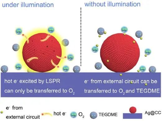 吉大徐吉靜EnSM: 局部表面等離子體共振增強非質子Li-O2電池的電化學動力學和產物選擇性