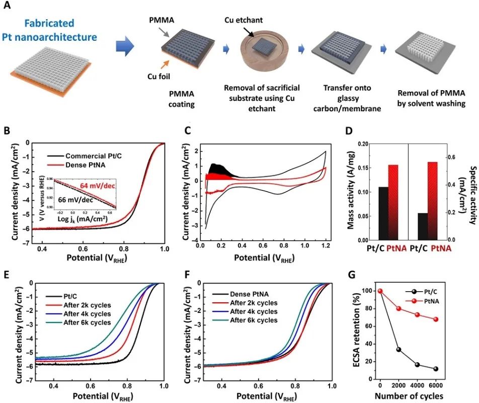 Science Advances：結構調制的3D電催化劑用于高性能燃料電池電極