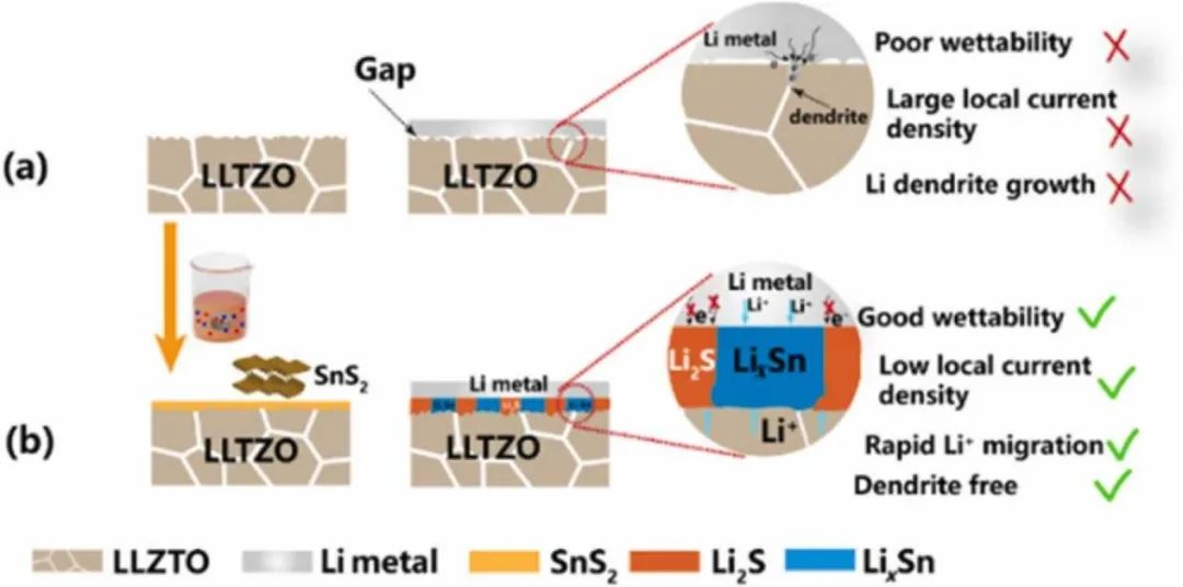 張久俊院士/蔣永Nano Energy：低成本快速實現高性能石榴石基固態鋰金屬電池