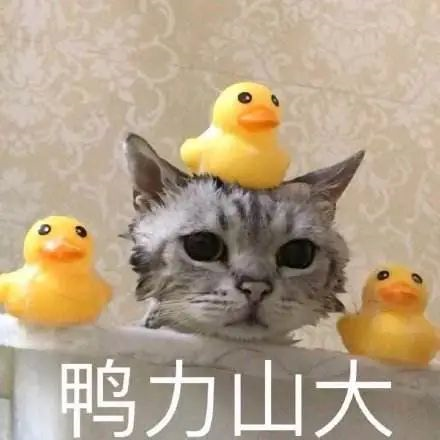 高校學生因壓力過大中毒！回憶碩博生猝死那些觸目驚心的案例