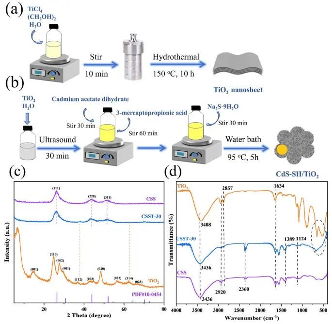 ?長安大學ACS Catalysis：CdS-SH/TiO2異質(zhì)結助力木質(zhì)素中C-O鍵斷裂