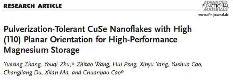 電池頂刊集錦：AM、AFM、Nano energy、Angew.、EnSM、ACS Energy Lett.等