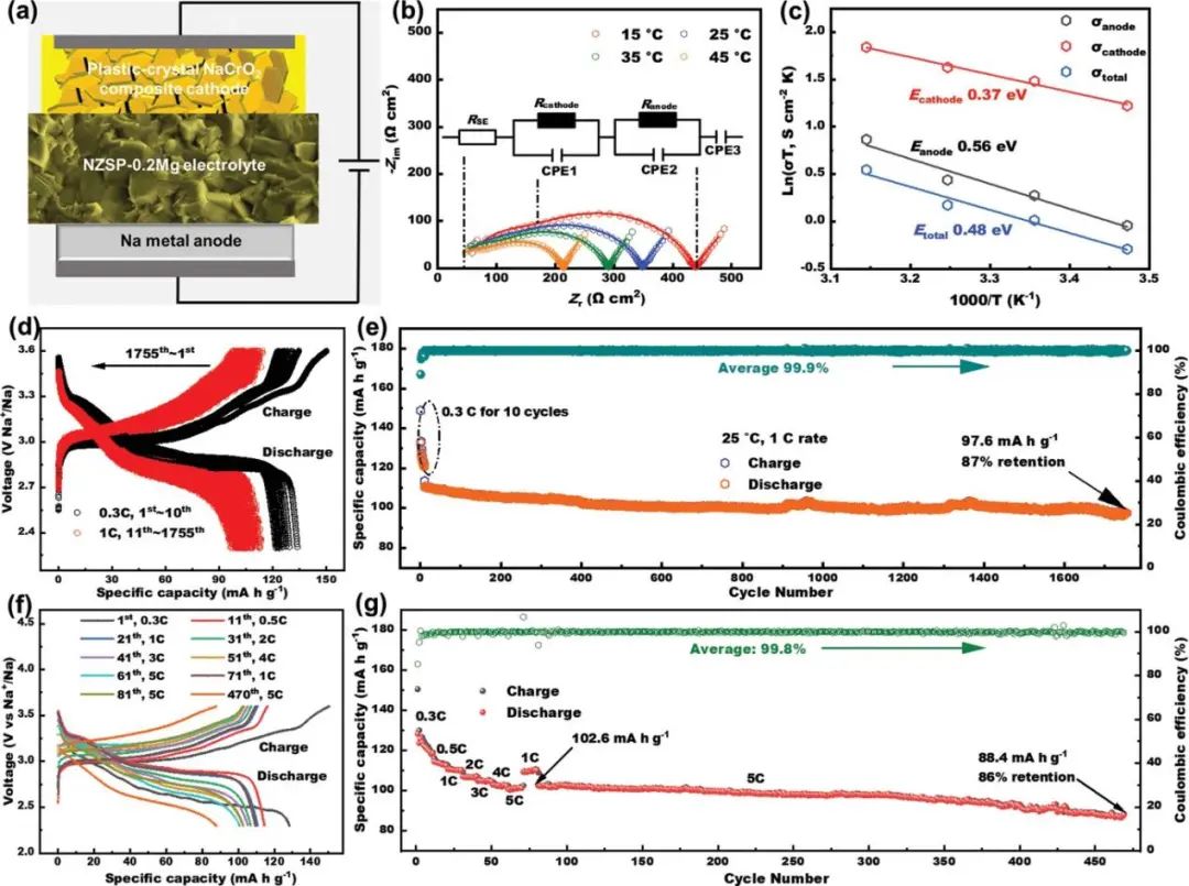?電池頂刊集錦！EES、AEM、AFM、JACS、ACS Nano、Small等最新成果速覽