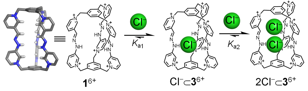 浙江大學李昊研究組JACS：兩個同種電荷的離子到底可以走得多近？