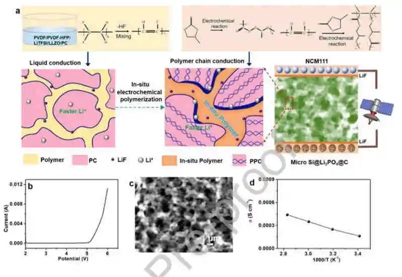 電池頂刊集錦：AFM、AM、ACS Energy Lett.、EnSM、Nano Lett.、Nano Energy等