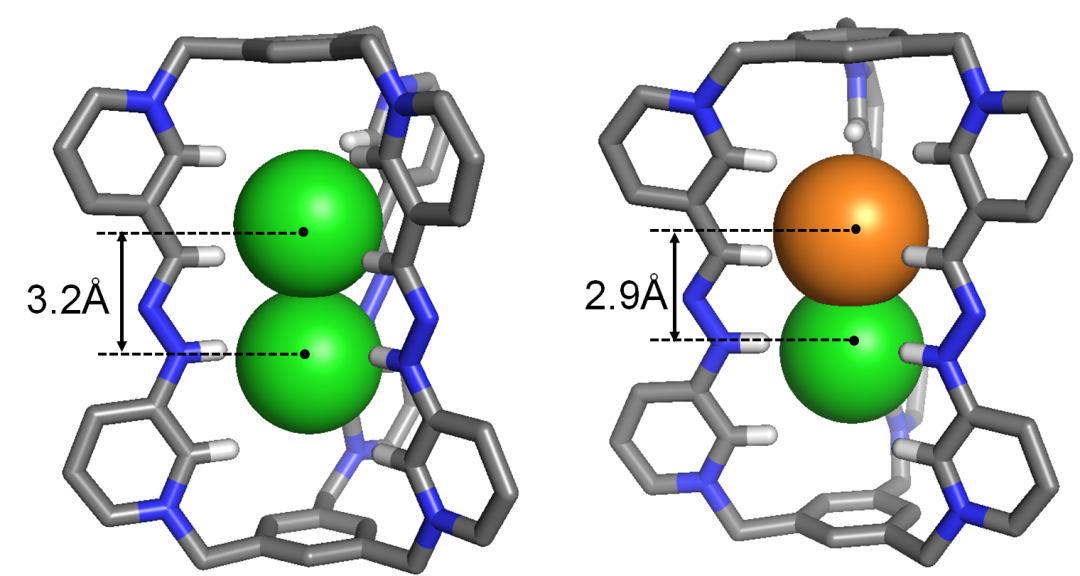 浙江大學李昊研究組JACS：兩個同種電荷的離子到底可以走得多近？