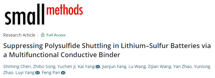 潘鋒/楊盧奕Small Methods：抑制鋰硫電池多硫化物穿梭的多功能導電粘結劑