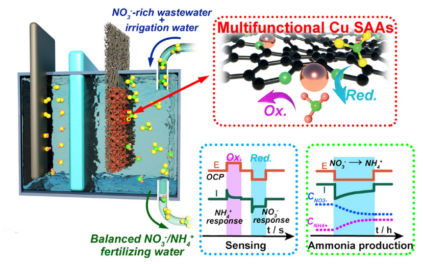 余桂華教授，同日連發(fā)JACS、PNAS！