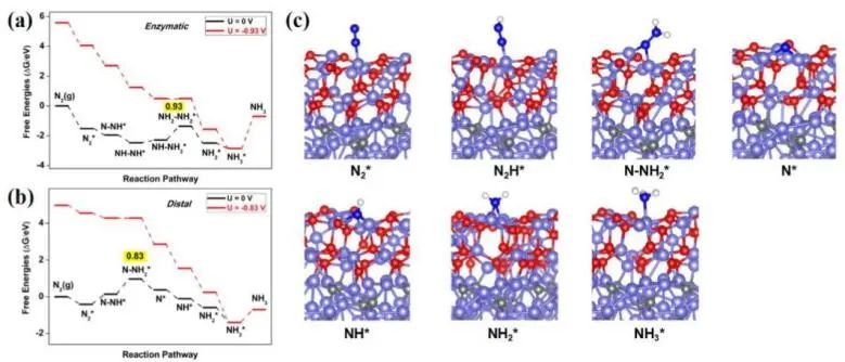 Angew.：氧空位耦合Fe3C/Fe3O4異質結構，實現高選擇性電還原N2制NH3