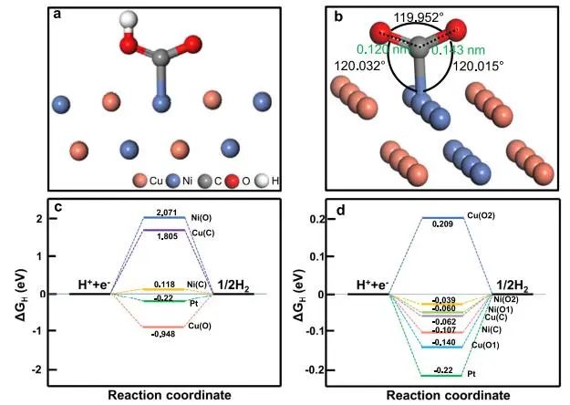 催化頂刊集錦：Nature子刊、JACS、Angew.、AFM、Nano Letters、ACS Catal.等成果