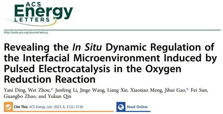 催化頂刊集錦：Nature子刊、JACS、ACS Nano、ACS Energy Lett.、AFM、NML等成果