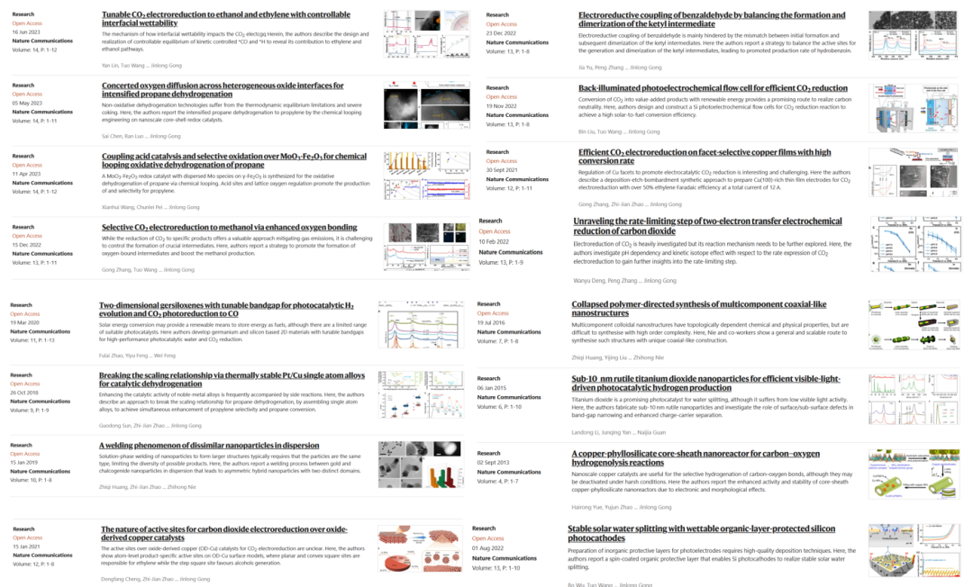 鞏金龍教授，最新Nature子刊！