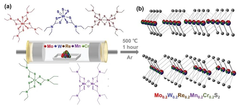 Adv. Sci.：用于析氫反應的高熵二維過渡金屬二硫化物催化劑的低溫合成路線