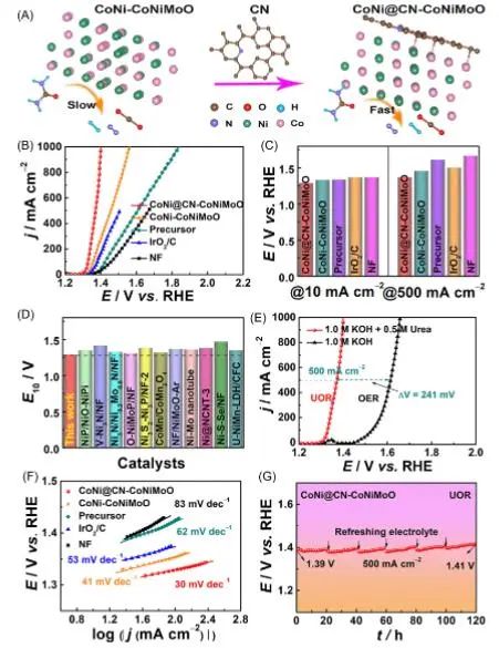 催化頂刊集錦：Nature子刊、EES、AM、EnSM、Carbon Energy、Small等成果
