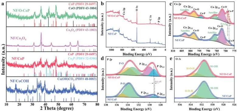 催化頂刊集錦：Nature子刊、Angew.、AEM、ACS Catalysis、Small等成果