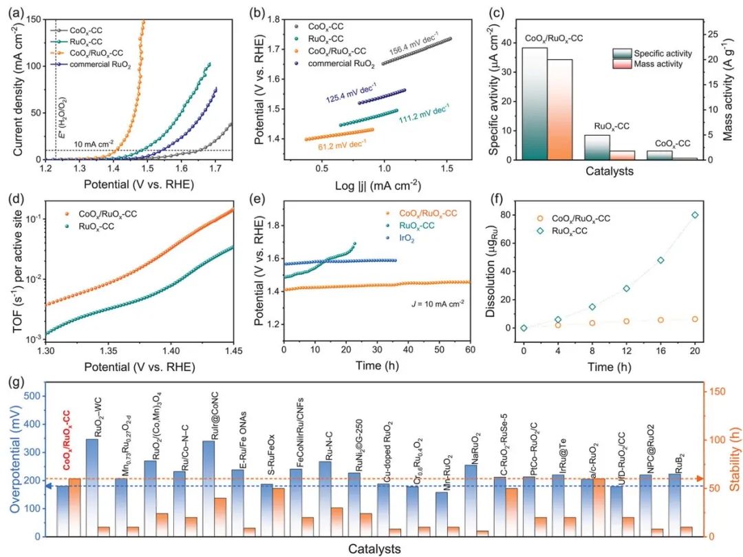 八篇催化頂刊：AM、AFM、EES、ACS Nano、Small、Appl. Catal. B等成果