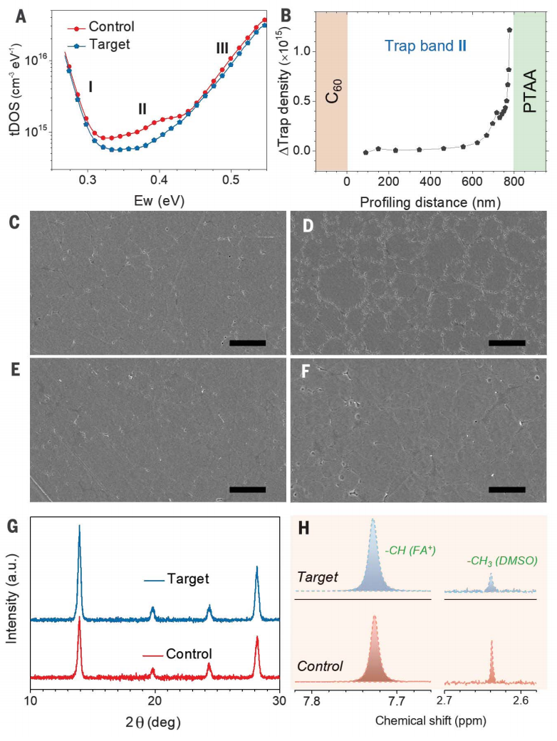 黃勁松教授，最新重磅Science！