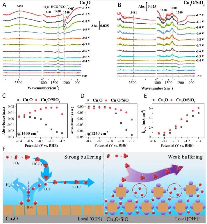 催化頂刊集錦：JACS、AEM、AFM、Adv. Sci.、ACS Catal.、ACS Nano、Small等成果