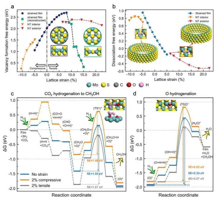 計算文獻速遞：Nature Catalysis、EES、JACS、Chem、EnSM、Nat. Commun.等！