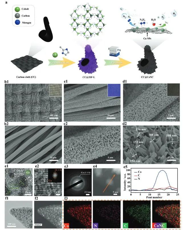 催化頂刊集錦：Nature子刊、EES、AFM、ACS Catal.、Small、Adv. Sci.等成果