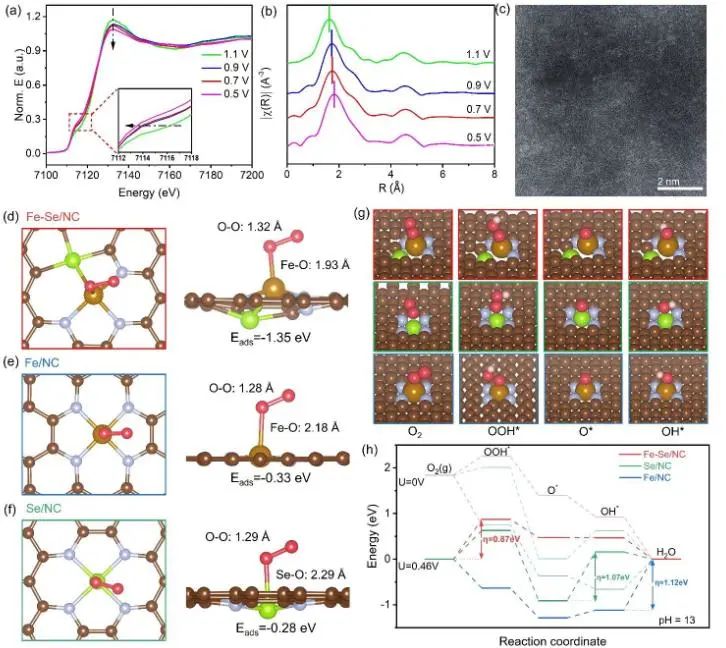 催化頂刊集錦：JACS、Angew.、AEM、ACS Catal.、ACS Energy Lett.、Small等成果