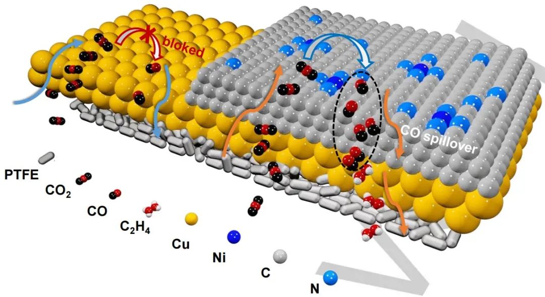 計算+實驗頂刊集錦：Angew、AM、AFM、ACS Catalysis、Small等成果精選！