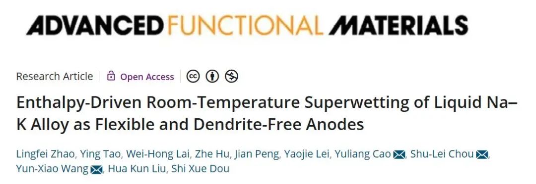 王云曉/曹余良/侴術雷AFM：焓驅動實現液態Na–K合金的室溫超潤濕，用于柔性和無枝晶負極