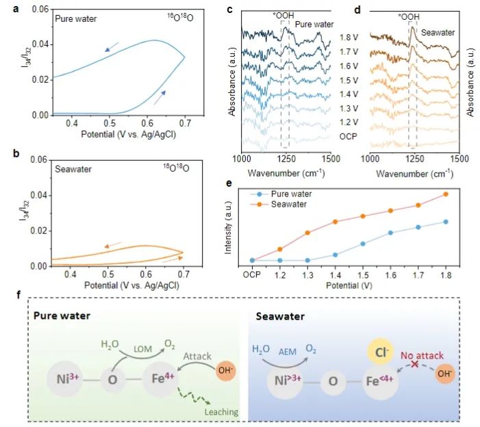 催化頂刊速遞：Nature Catalysis、EES、Nature子刊、Angew、Sci. Adv.、ACS Nano等成果